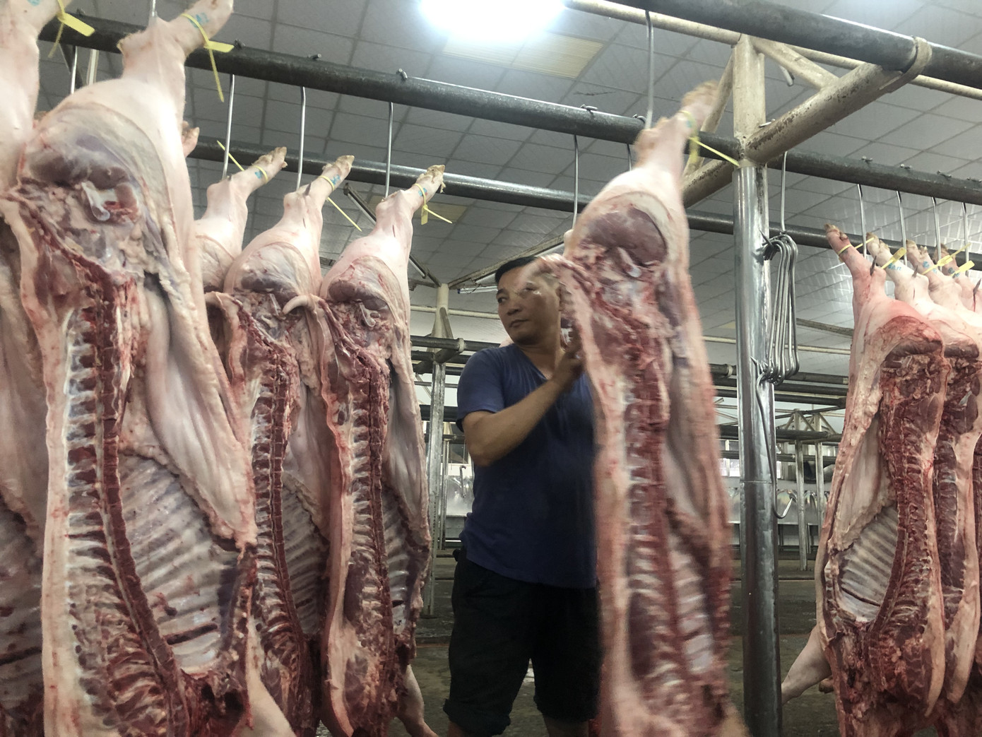 Heo bình ổn tăng giá chóng mặt, người nội trợ đắn đo khi chọn thực phẩm ảnh 2