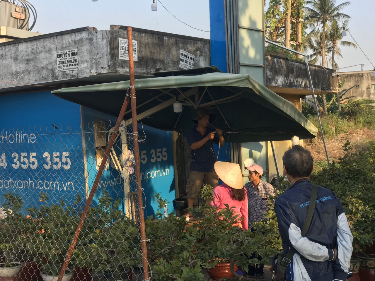 Mai vàng, hoa Tết nhộn nhịp xuống phố ảnh 4