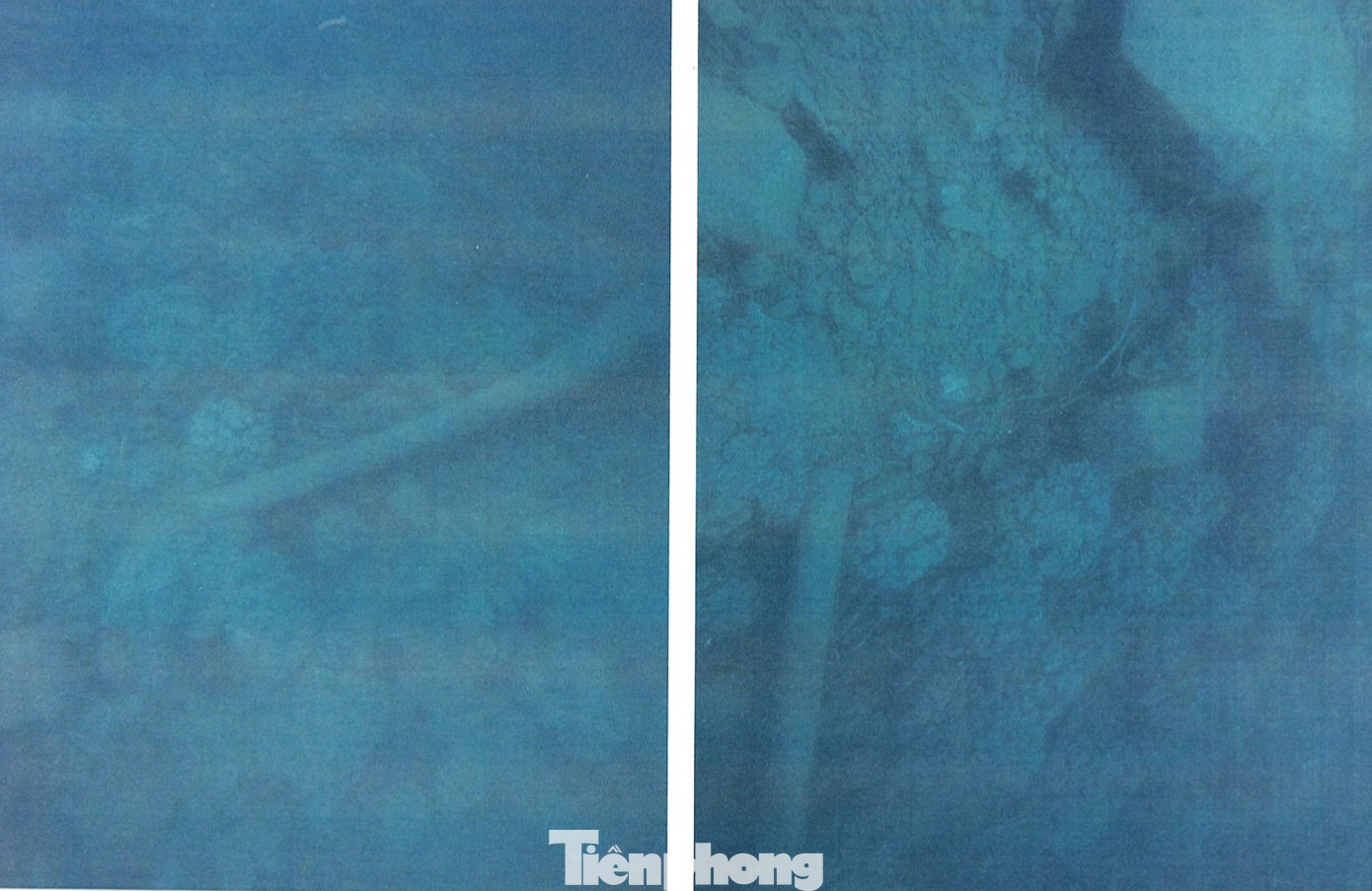 Chủ dự án Hòn Tằm bị phạt 40 triệu đồng vì xây dựng không phép ảnh 2