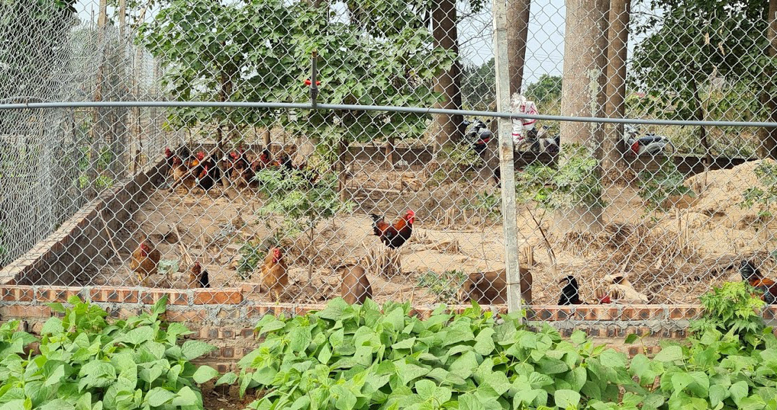 Cuối năm, 'cò đất' thi nhau thổi giá loạt dự án 'đắp chiếu' phía Tây Hà Nội ảnh 4