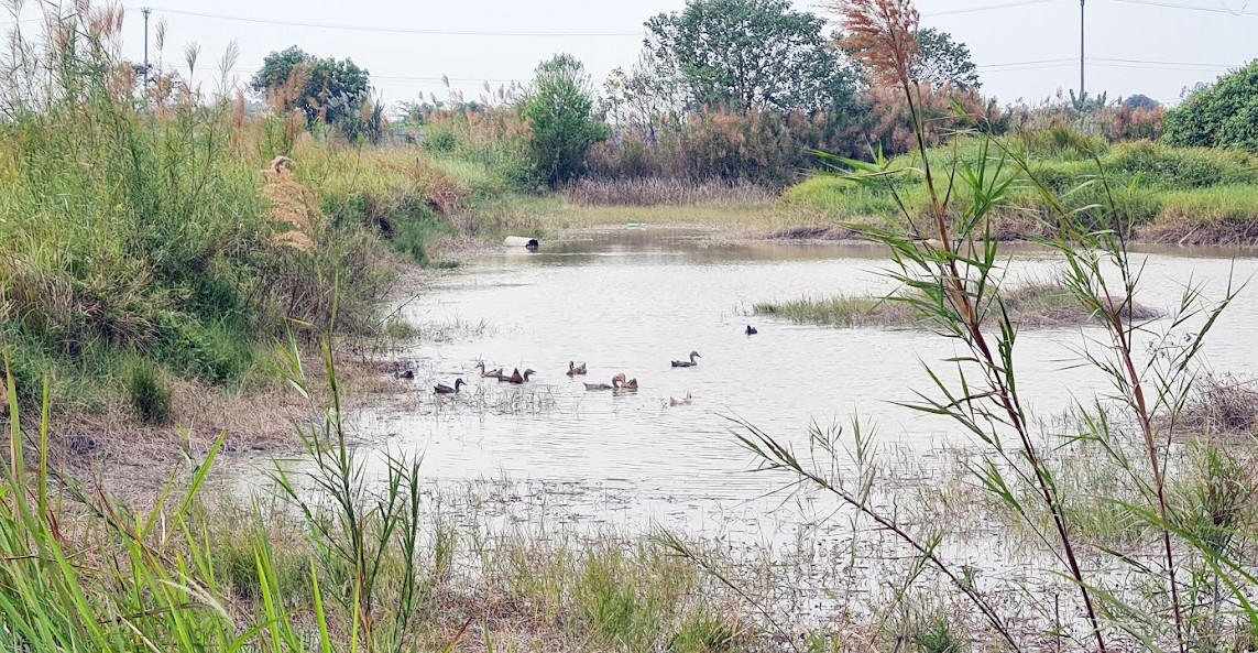 Cuối năm, 'cò đất' thi nhau thổi giá loạt dự án 'đắp chiếu' phía Tây Hà Nội ảnh 3