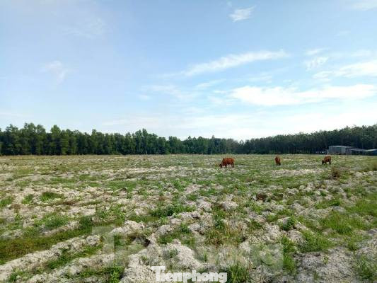 Đề xuất bỏ quy định cho phép tách thửa đất nông nghiệp ngăn dự án 'ma' ảnh 1