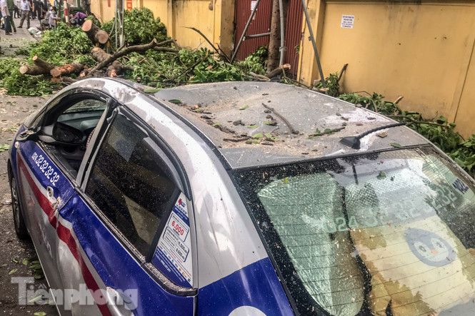 Cành cây cổ thụ trong bệnh viện 108 rơi đè bẹp 3 ô tô ảnh 8