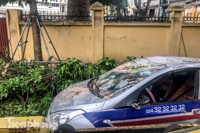 Cành cây cổ thụ trong bệnh viện 108 rơi đè bẹp 3 ô tô ảnh 7