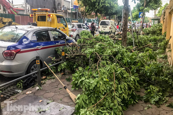 Cành cây cổ thụ trong bệnh viện 108 rơi đè bẹp 3 ô tô ảnh 9