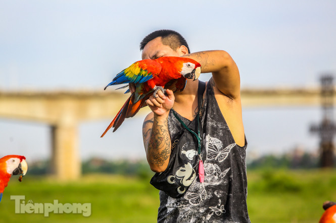 Ngắm vẹt sặc sỡ có giá nghìn đô của dân chơi Hà thành ảnh 4