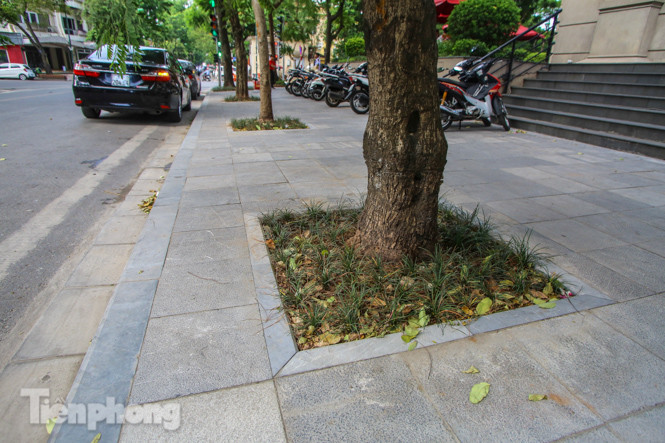 Vỉa hè các tuyến phố vùng 'lõi' Thủ đô thay đổi ra sao sau lát đá tự nhiên? ảnh 13