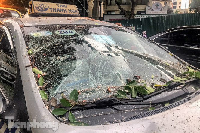 Cành cây cổ thụ trong bệnh viện 108 rơi đè bẹp 3 ô tô ảnh 2