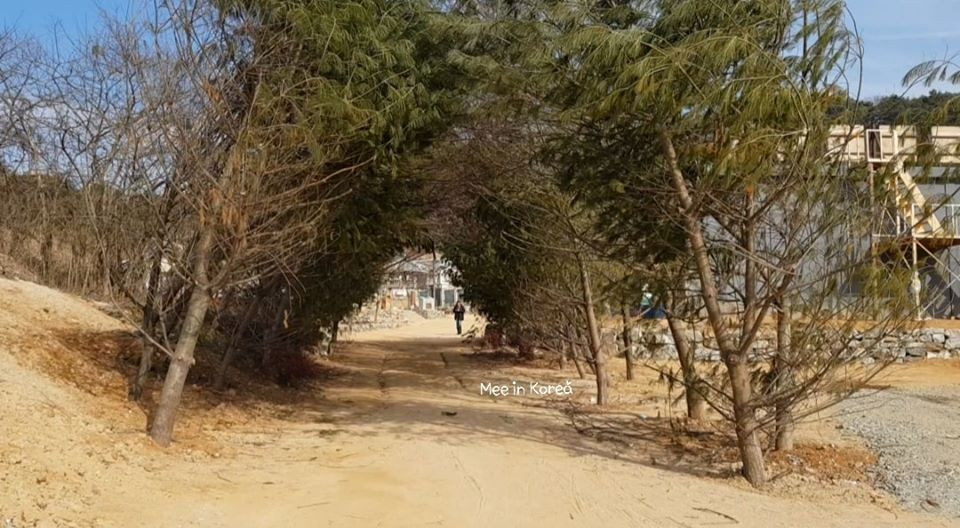 Giới trẻ check-in ngôi làng Triều Tiên mộc mạc trong 'Hạ cánh nơi anh' ảnh 19