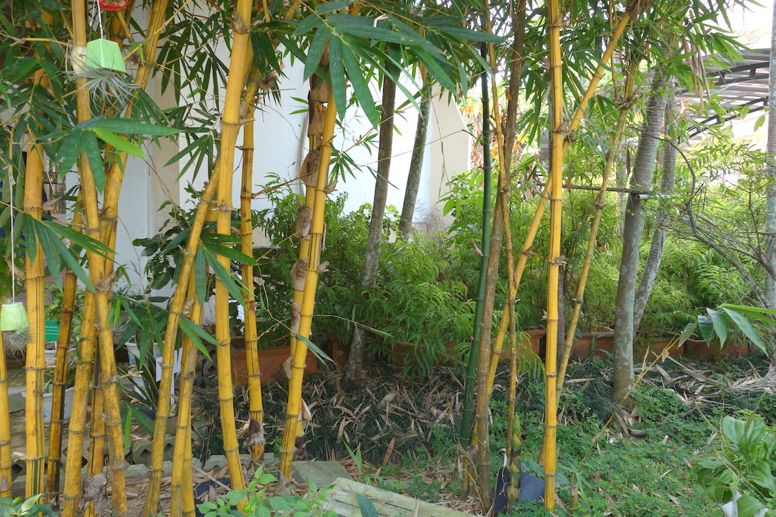 Độc đáo căn nhà truyền thống của đồng bằng Bắc bộ ở TP.HCM ảnh 8