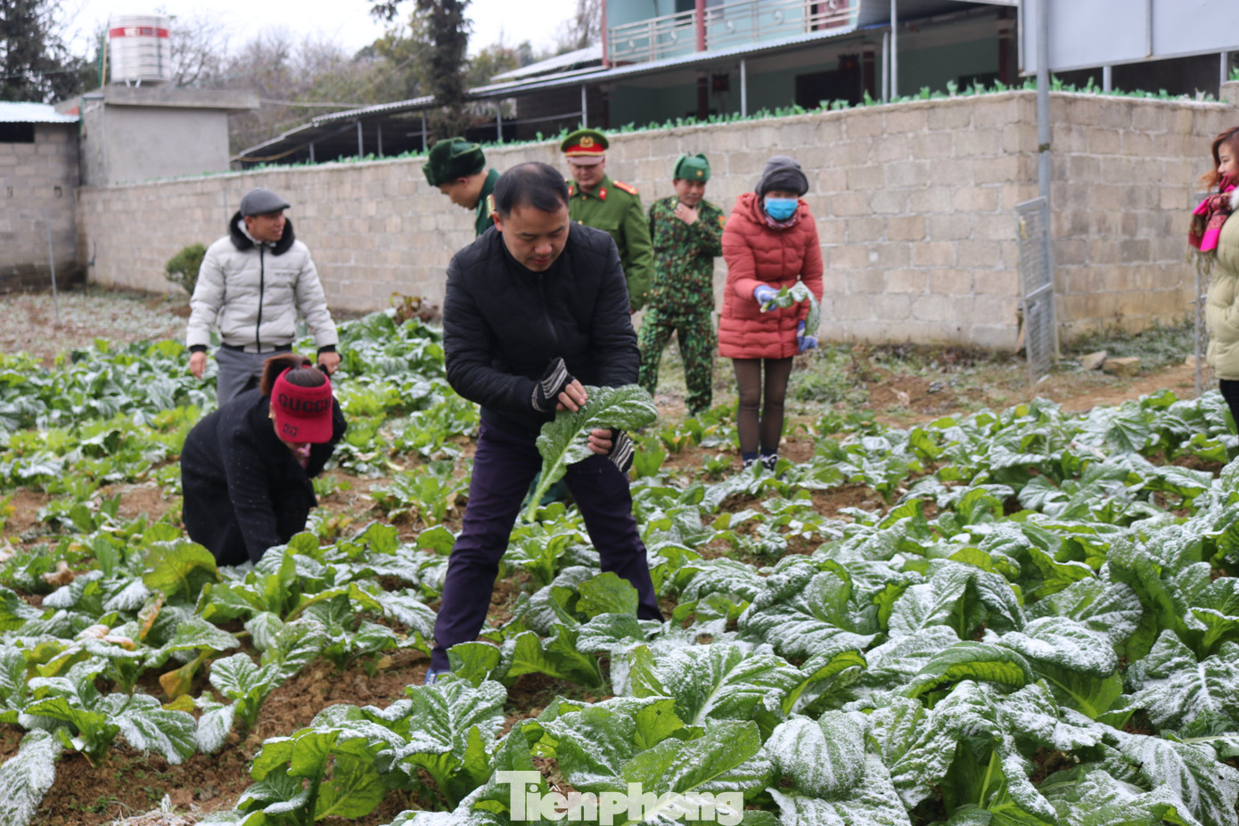 Xuất hiện băng tuyết tại xã biên giới Mèo Vạc - Hà Giang ảnh 9