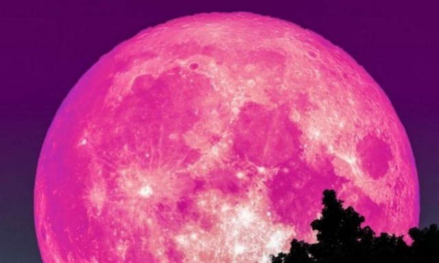 1001 thắc mắc: Trái đất sẽ ra sao nếu mặt trăng biến mất? ảnh 1