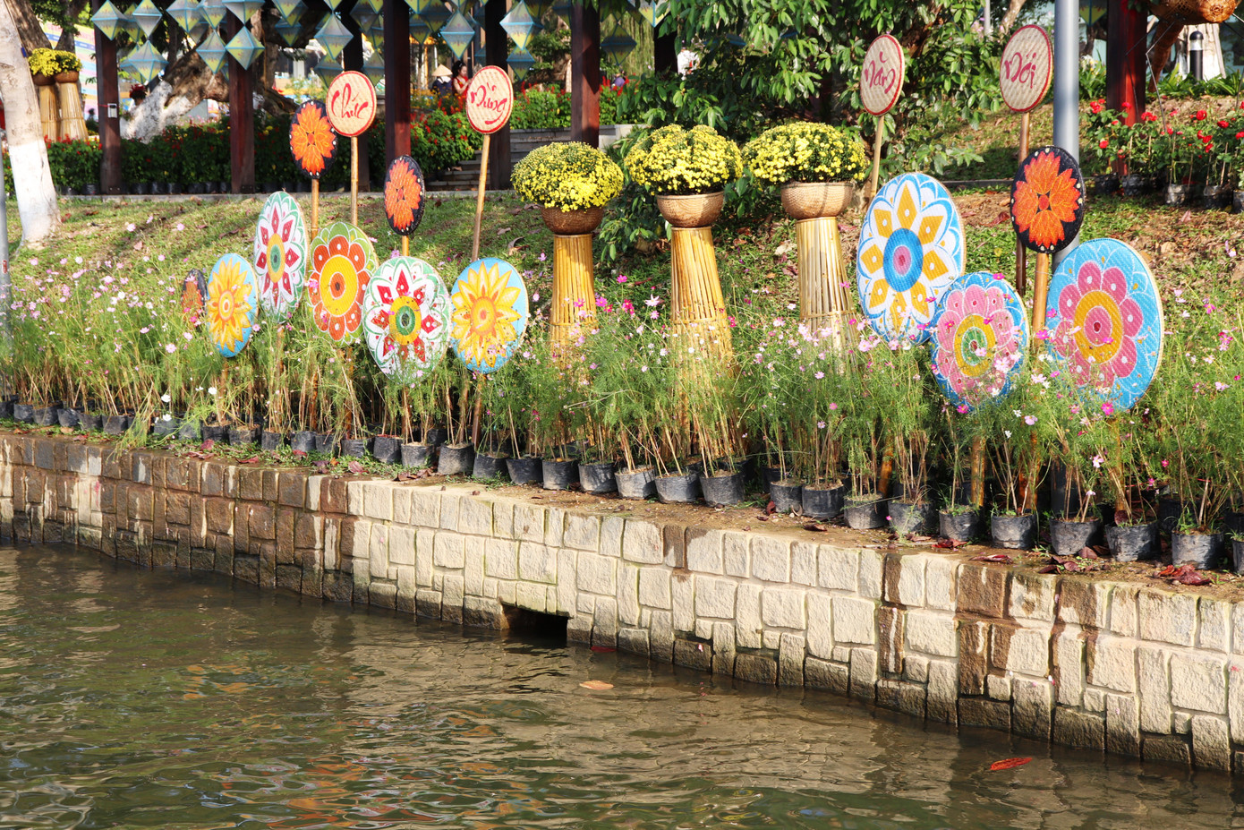 Nhìn ngắm Huế ngày cuối năm khoác 'áo hoa' lạ lẫm đón Tết ảnh 22