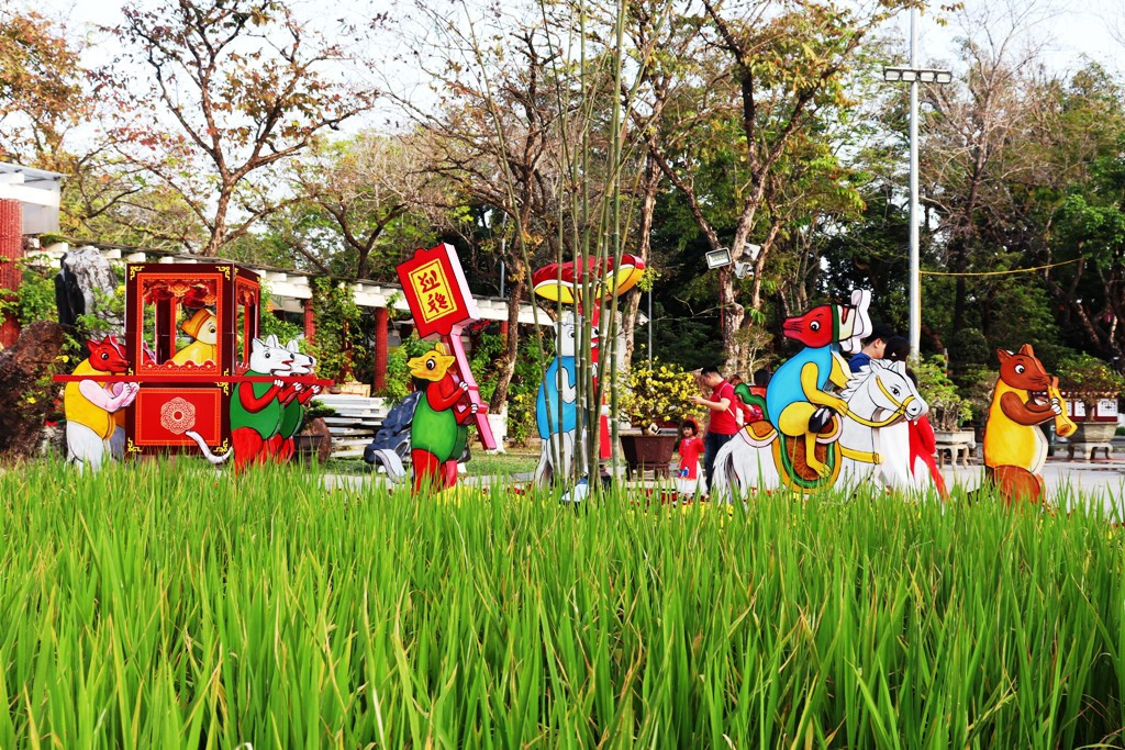 Nhìn ngắm Huế ngày cuối năm khoác 'áo hoa' lạ lẫm đón Tết ảnh 8