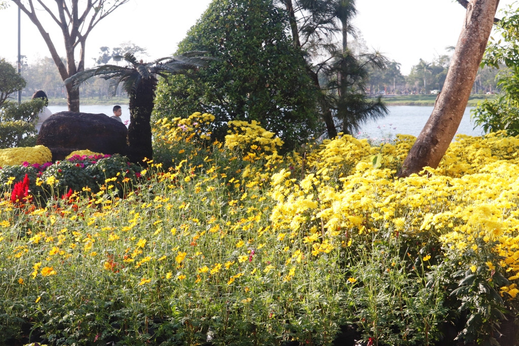 Huế khoác áo hoa rực rỡ sắc màu chiều 30 Tết ảnh 6