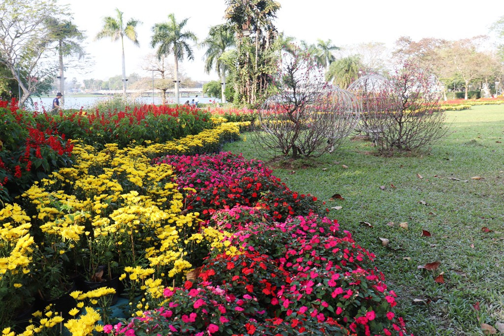 Nhìn ngắm Huế ngày cuối năm khoác 'áo hoa' lạ lẫm đón Tết ảnh 11