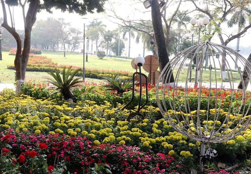 Nhìn ngắm Huế ngày cuối năm khoác 'áo hoa' lạ lẫm đón Tết ảnh 12