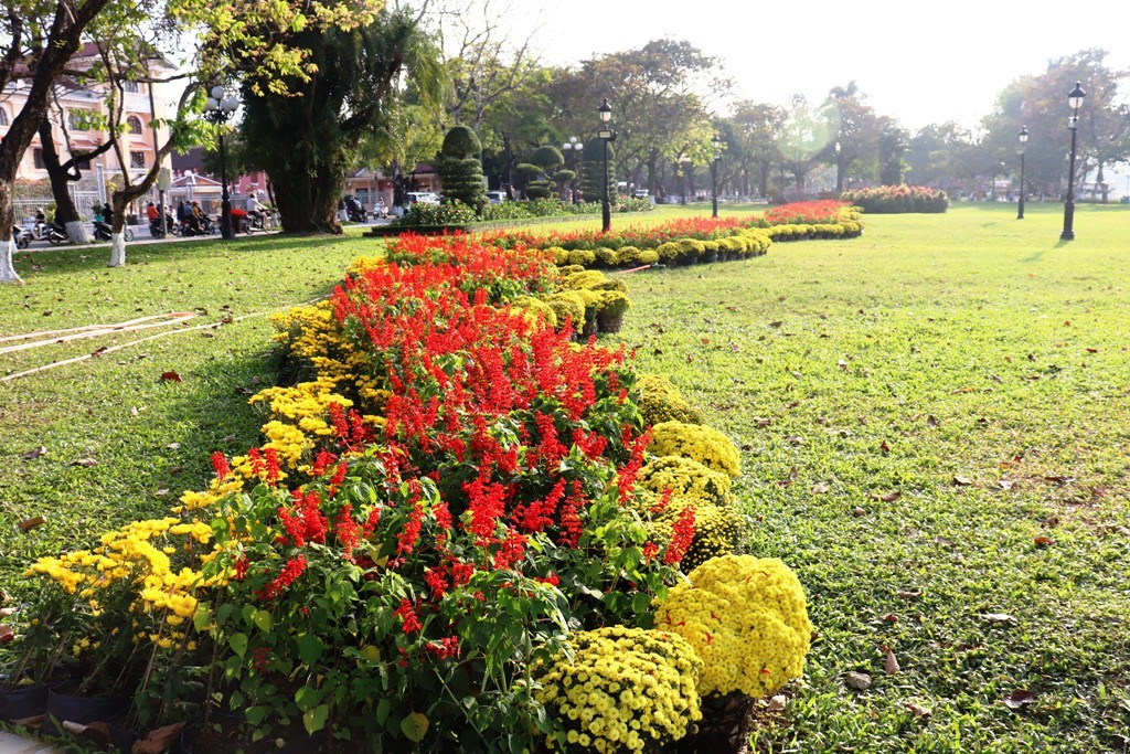 Nhìn ngắm Huế ngày cuối năm khoác 'áo hoa' lạ lẫm đón Tết ảnh 13