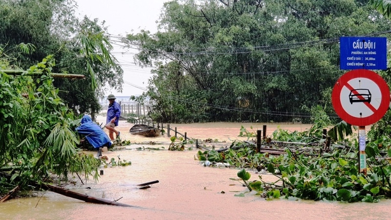 Huế mưa trắng trời, người dân ‘oằn mình’ chống lũ ảnh 11