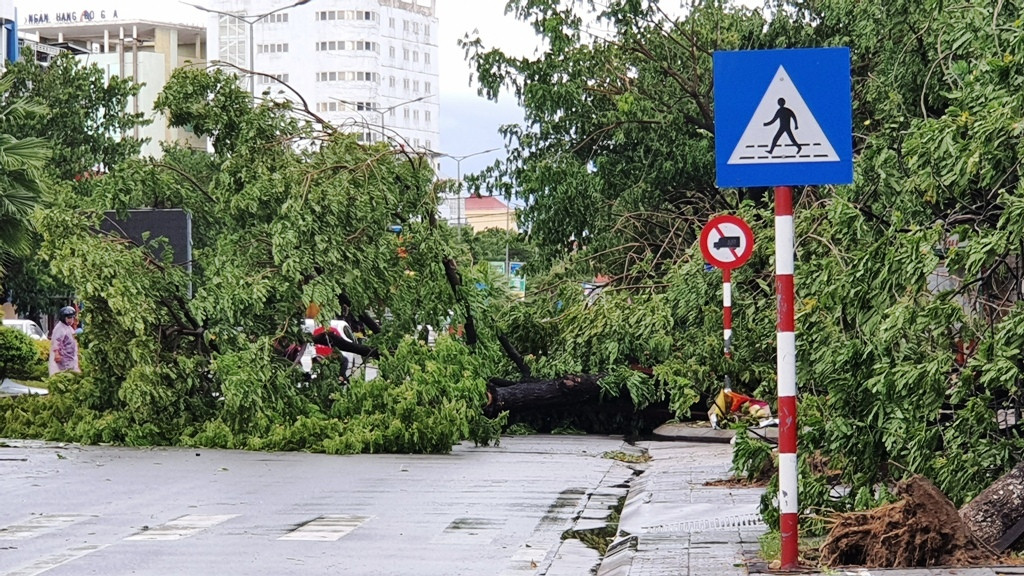 Cây đổ hàng loạt, mất điện, hàng nghìn nhà tốc mái do bão số 5 ảnh 20