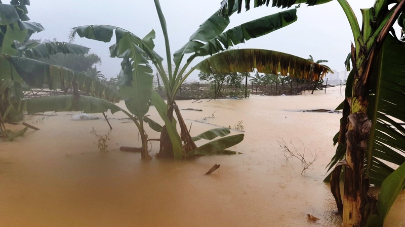 Huế mưa trắng trời, người dân ‘oằn mình’ chống lũ ảnh 13