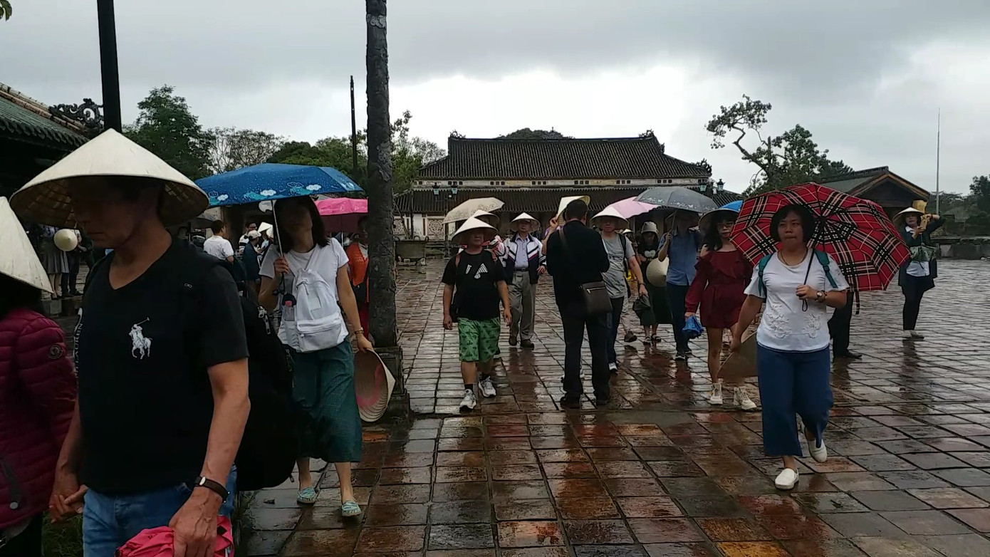 Đến Đại nội Huế ngắm đàn cá ‘khủng’ 5.000 con lấy may ngày đầu năm 2020 ảnh 8