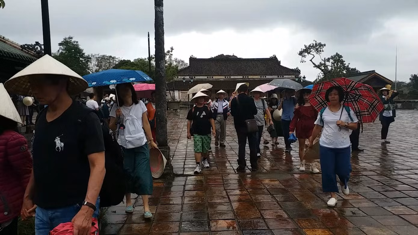 Đến Đại nội Huế ngắm đàn cá ‘khủng’ 5.000 con lấy may ngày đầu năm 2020 ảnh 8