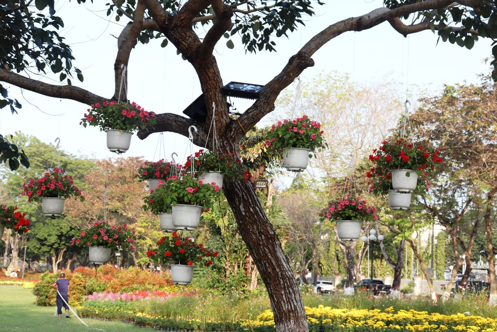 Nhìn ngắm Huế ngày cuối năm khoác 'áo hoa' lạ lẫm đón Tết ảnh 17