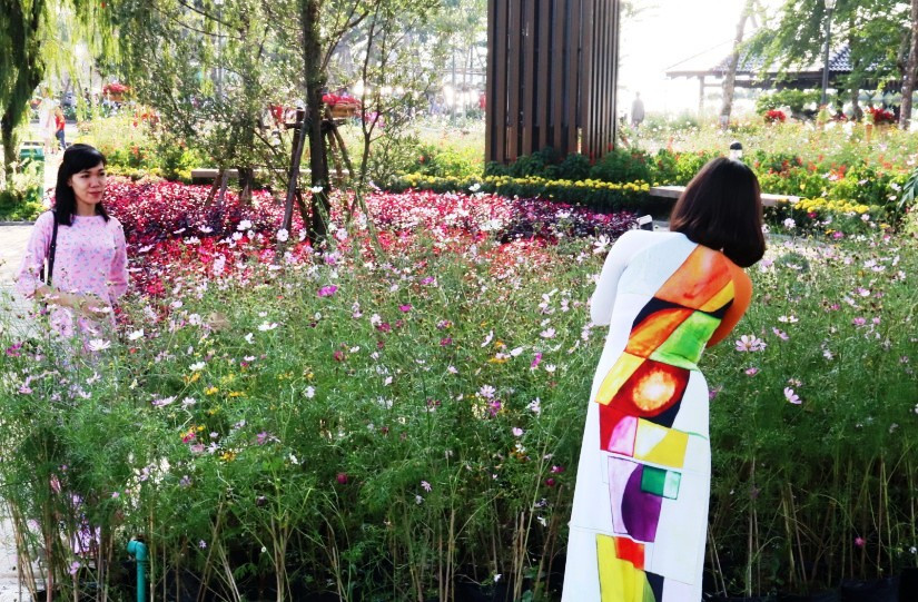 Nhìn ngắm Huế ngày cuối năm khoác 'áo hoa' lạ lẫm đón Tết ảnh 38