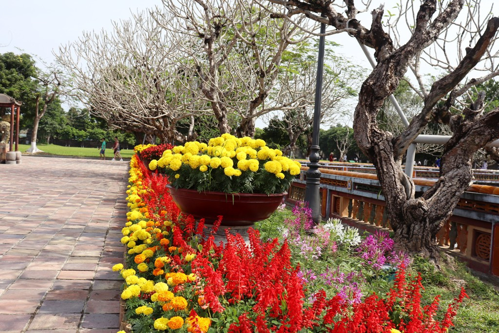 Vào Đại nội Huế trải nghiệm trò chơi Tết chốn Cung đình xưa ảnh 27