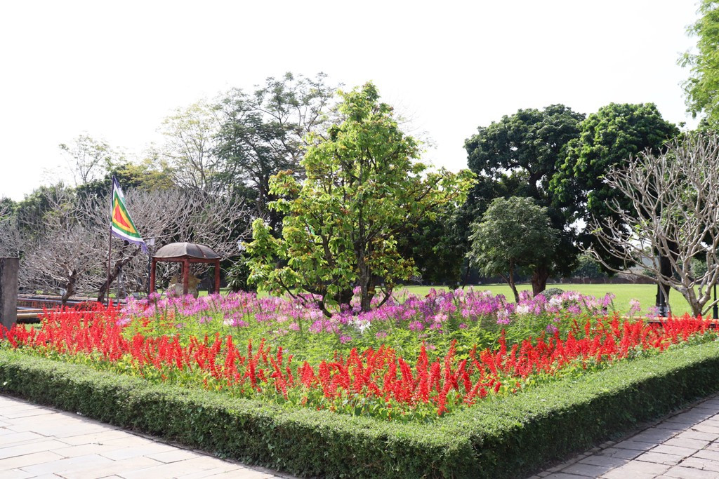 Vào Đại nội Huế trải nghiệm trò chơi Tết chốn Cung đình xưa ảnh 26