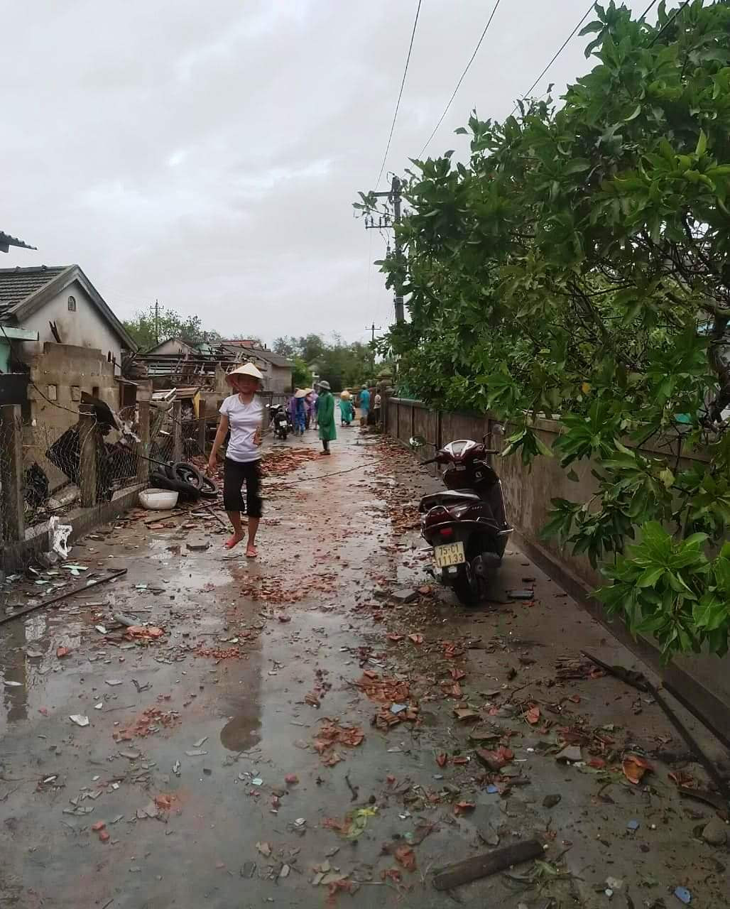 Cây đổ hàng loạt, mất điện, hàng nghìn nhà tốc mái do bão số 5 ảnh 36