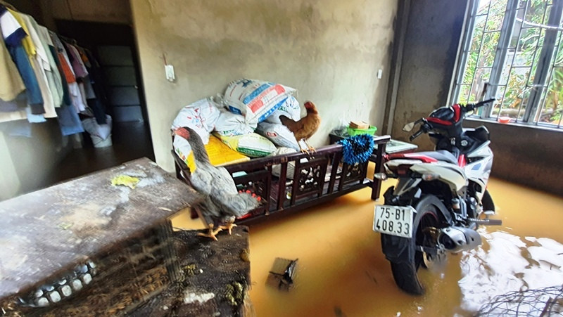 Huế mưa trắng trời, người dân ‘oằn mình’ chống lũ ảnh 14