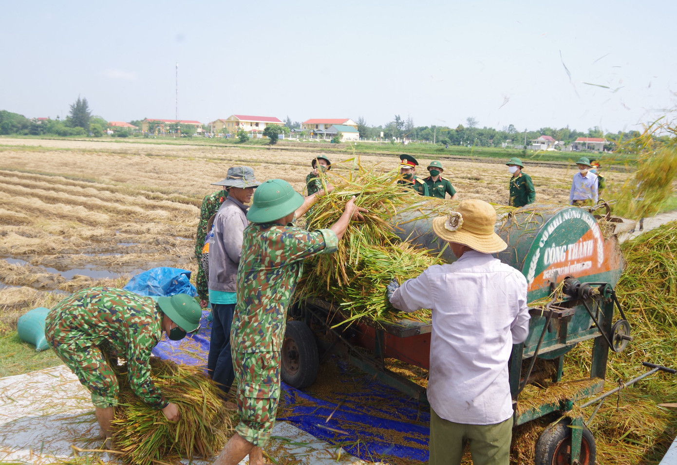 Hơn 700 cán bộ chiến sĩ Quân khu 4 xuống đồng, dân cảm kích vì lúa chín thoát úng ngập ảnh 3