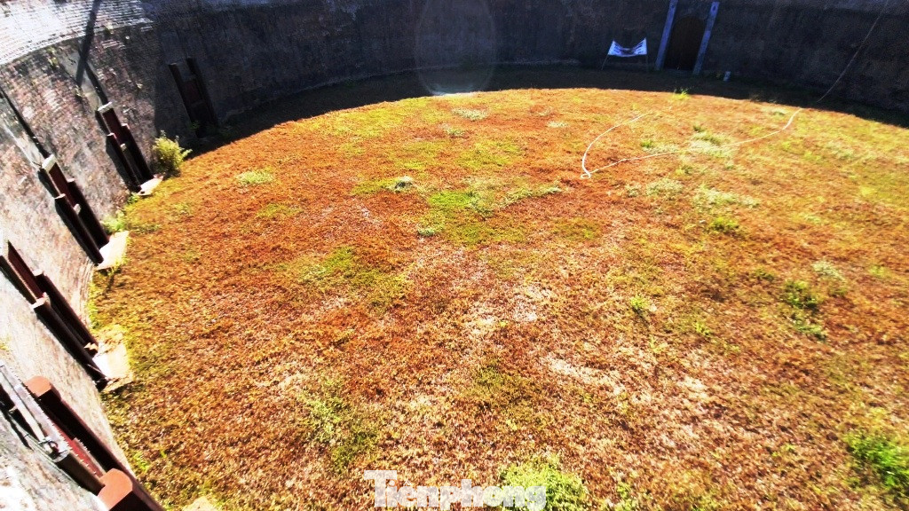 Bên trong đấu trường mãnh thú cổ xưa, chỉ còn ở Việt Nam ảnh 10