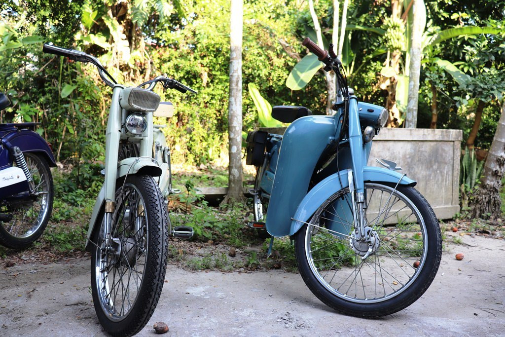 Ngắm bộ sưu tập Mobylette, VeloSoleX cổ hiếm gặp tại Huế ảnh 2