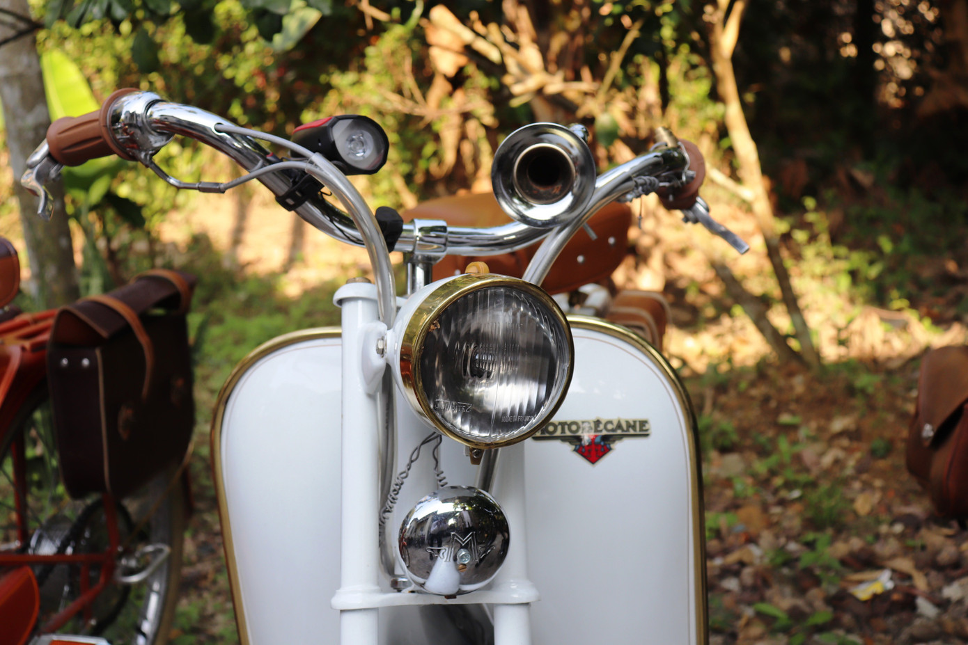 Ngắm bộ sưu tập Mobylette, VeloSoleX cổ hiếm gặp tại Huế ảnh 22