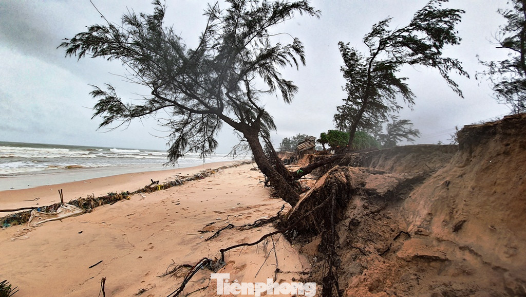 Bão tan lũ rút, bờ biển Thừa Thiên Huế tan hoang ‘chưa từng thấy’ ảnh 25