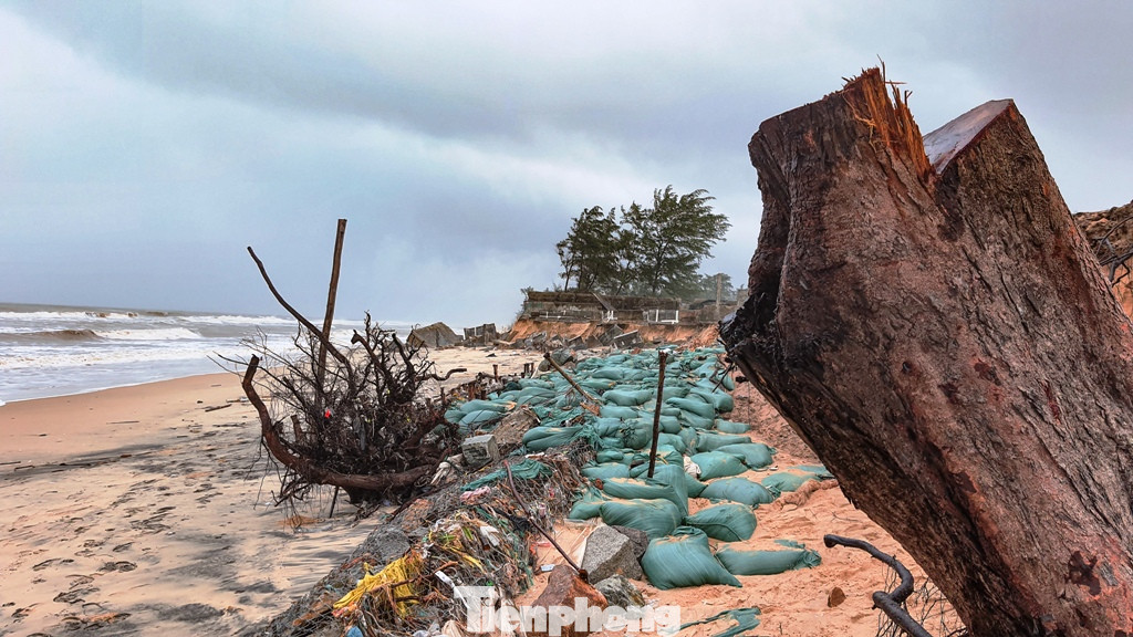 Bão tan lũ rút, bờ biển Thừa Thiên Huế tan hoang ‘chưa từng thấy’ ảnh 29