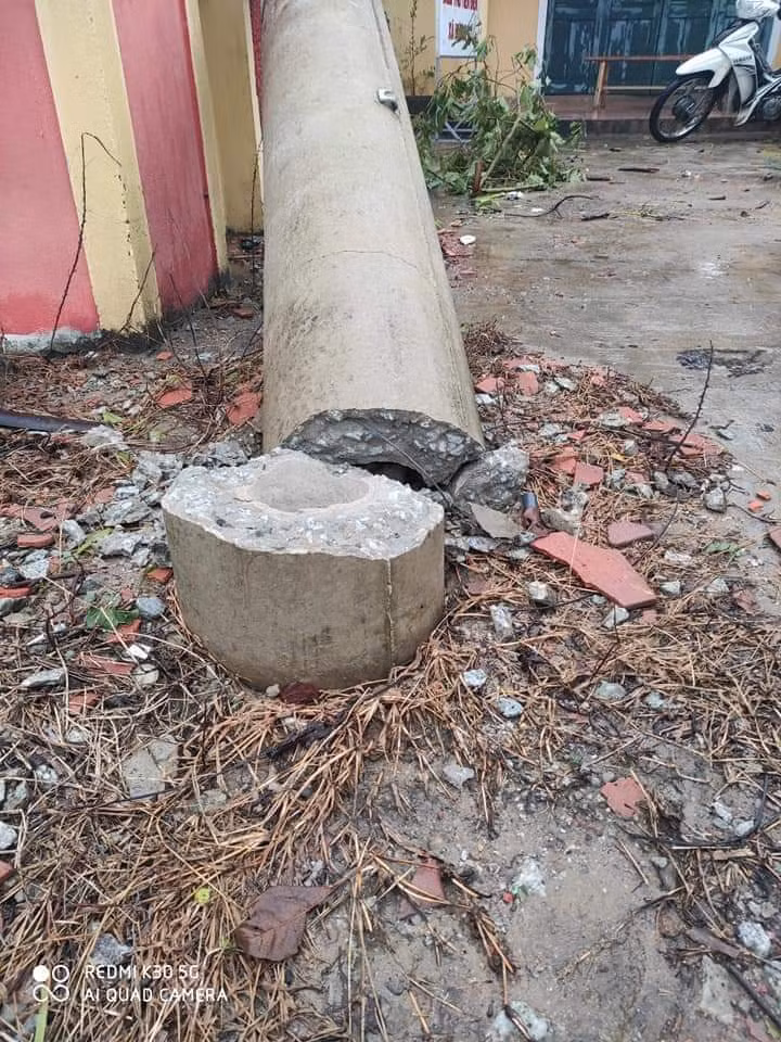 Hơn 400 cột điện đổ la liệt sau bão số 5: Tạm dừng sử dụng cột dự ứng lực ảnh 2