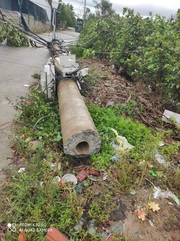 Hơn 400 cột điện đổ la liệt sau bão số 5: Tạm dừng sử dụng cột dự ứng lực ảnh 6