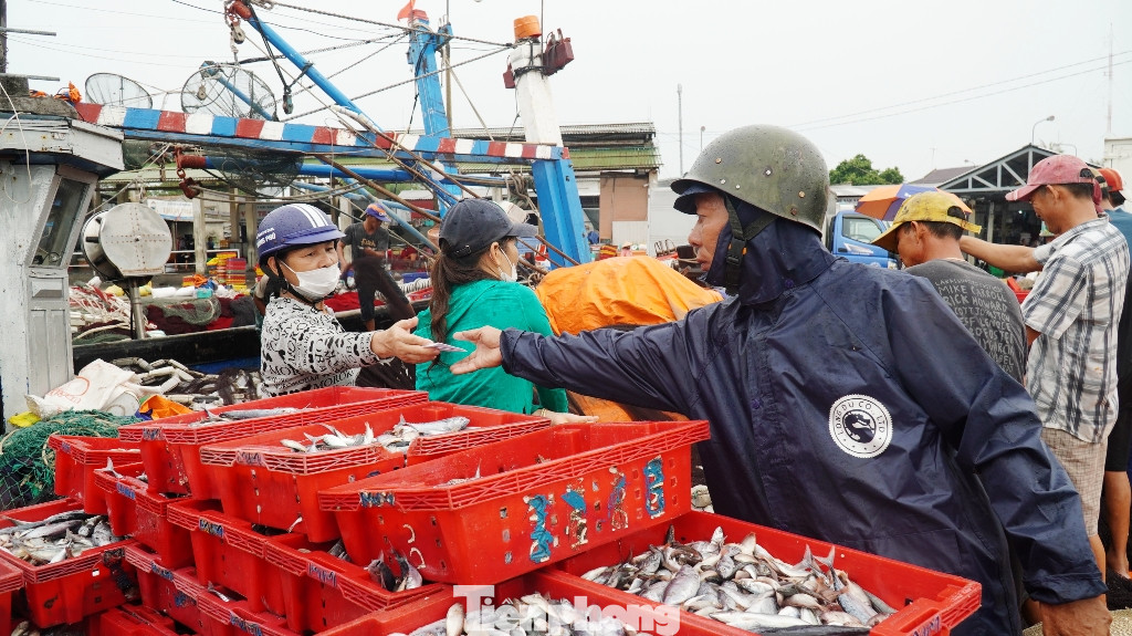 Ngư dân TT-Huế hối hả với những mẻ cá biển cuối cùng trước bão ảnh 5