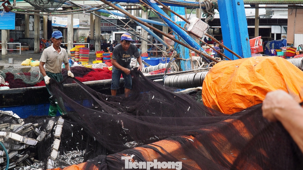 Ngư dân TT-Huế hối hả với những mẻ cá biển cuối cùng trước bão ảnh 3