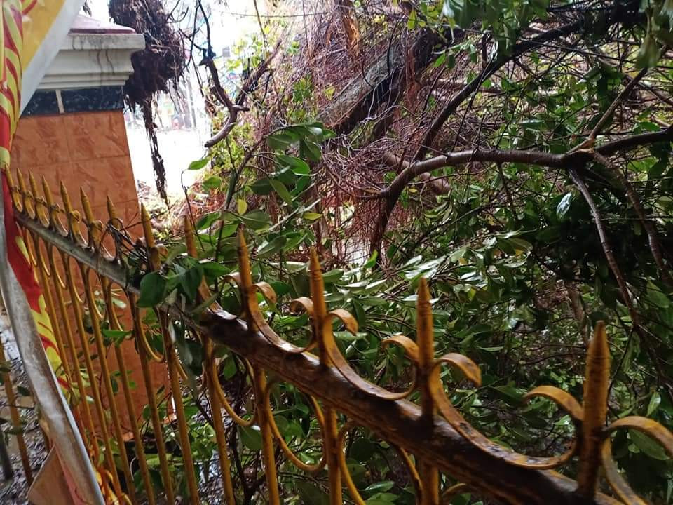 Thừa Thiên Huế: Huyện miền núi Nam Đông tan hoang sau bão số 9 ảnh 14