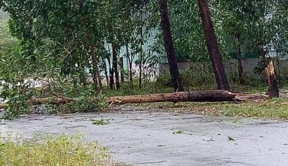 Thừa Thiên Huế: Huyện miền núi Nam Đông tan hoang sau bão số 9 ảnh 15