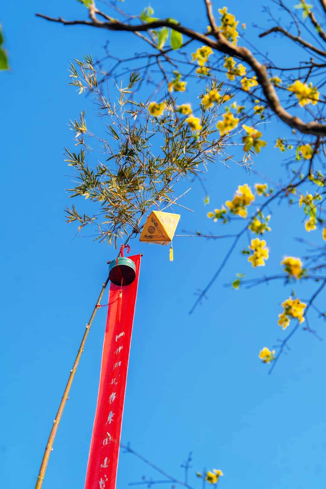 Cùng với "Hương xưa bánh Tết", cây Nêu được dựng lên bằng một nghi lễ trang trọng trong Đại nội Huế chính thức báo hiệu cho mọi người biết thời khắc Tết đang đến, Xuân đang về. (Ảnh: TTBTDTCĐ Huế) Mãn nhãn với ‘Hương xưa bánh Tết’ trong Hoàng cung Huế ảnh 17