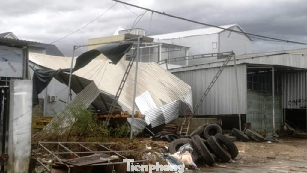 Bão số 13 quần thảo TT-Huế, nhà cửa tốc mái, cây cối gãy đổ ảnh 9