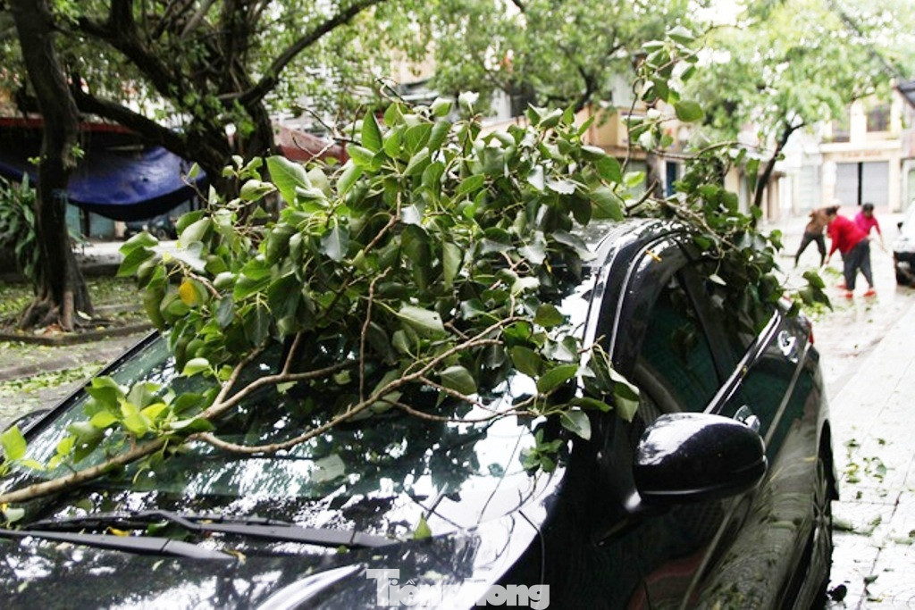 Bão số 13 quần thảo TT-Huế, nhà cửa tốc mái, cây cối gãy đổ ảnh 8