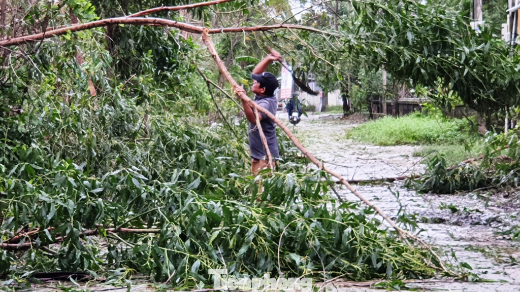 Bão số 13 quần thảo TT-Huế, nhà cửa tốc mái, cây cối gãy đổ ảnh 4