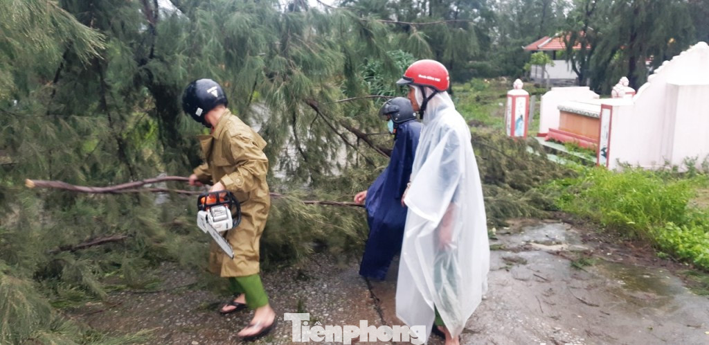 Bão số 13 quần thảo TT-Huế, nhà cửa tốc mái, cây cối gãy đổ ảnh 10